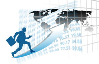 九游娱乐网站-中国篮球职业联赛赛事运营风险评估与管理对策，篮球赛事安全风险